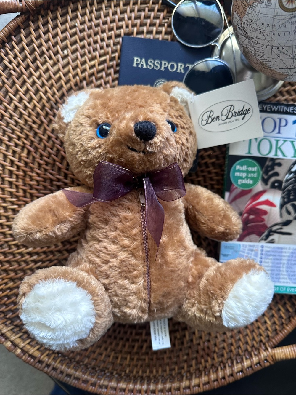 Benny Bear from Ben Bridge Zip Storage Plush Bear Y2K Pouch New with Tags